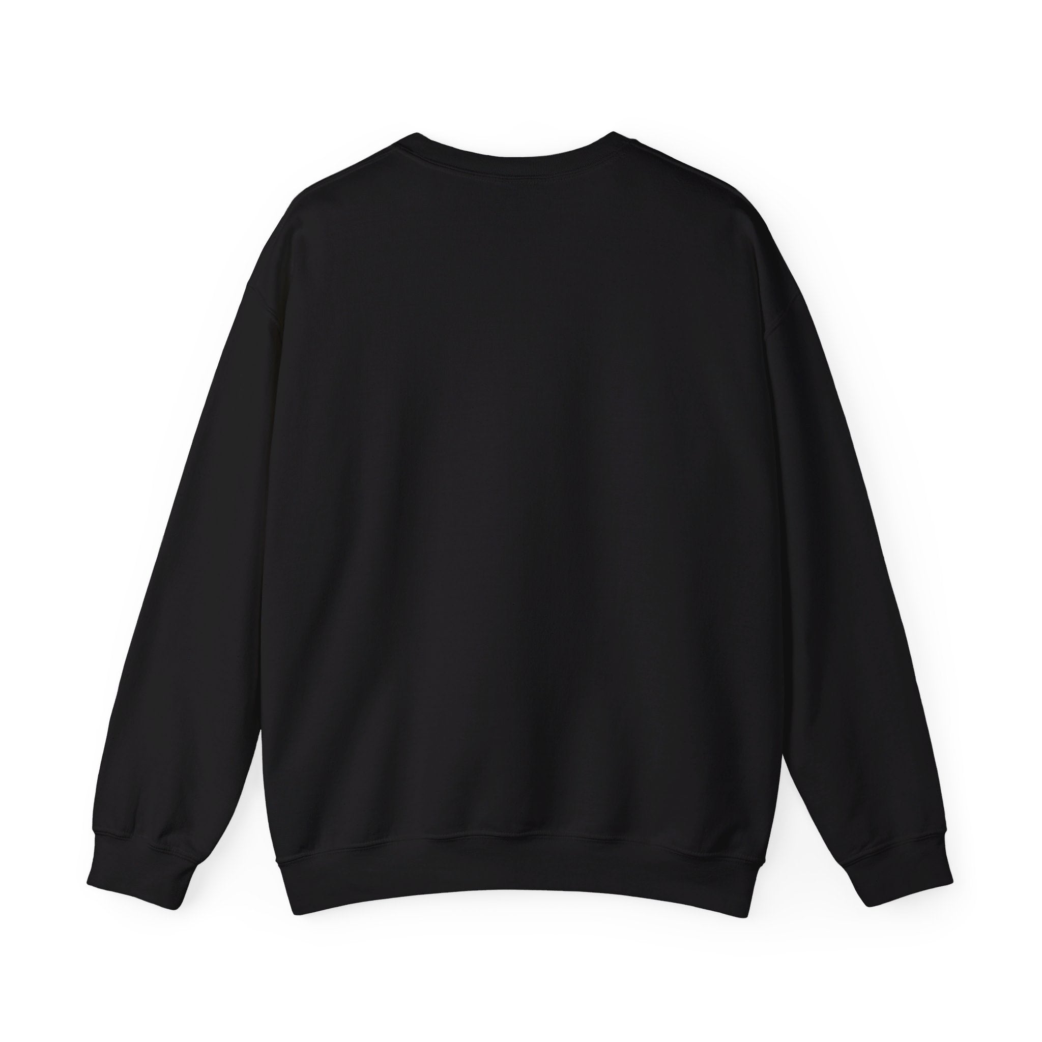 SAI55 Stealth Graphic Sweatshirt - EU