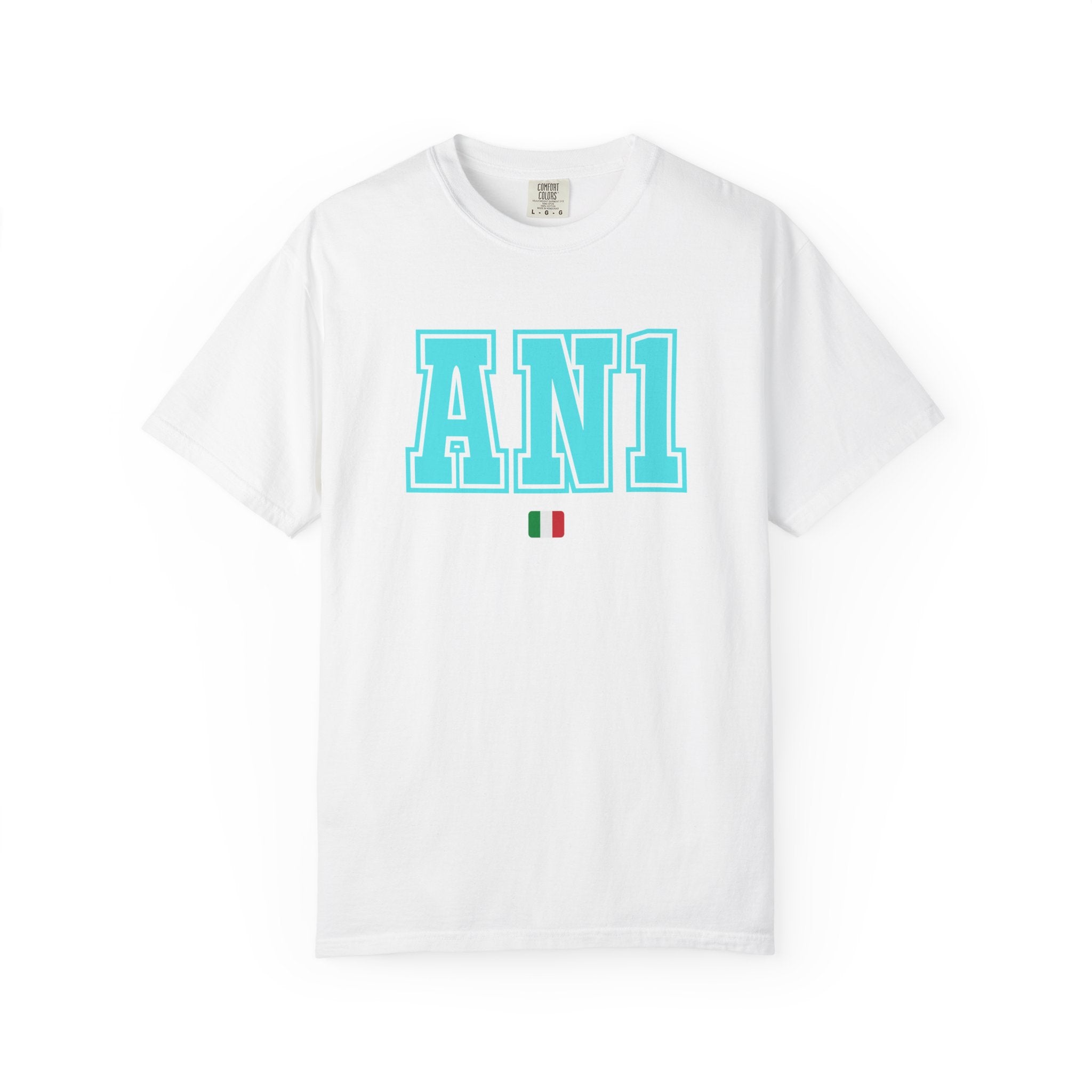 AN1 2027 Unisex Garment-Dyed T-shirt