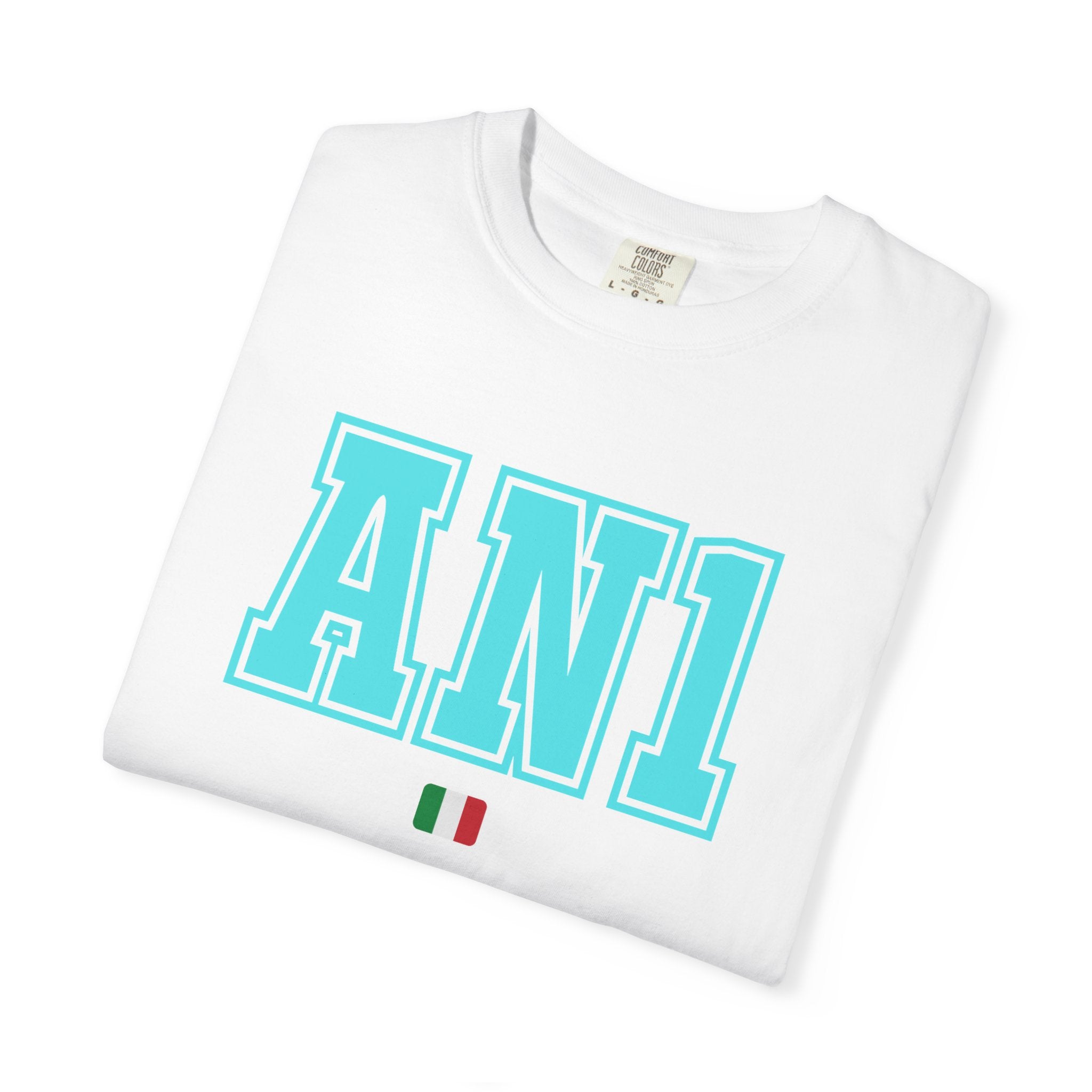 AN1 2027 Unisex Garment-Dyed T-shirt