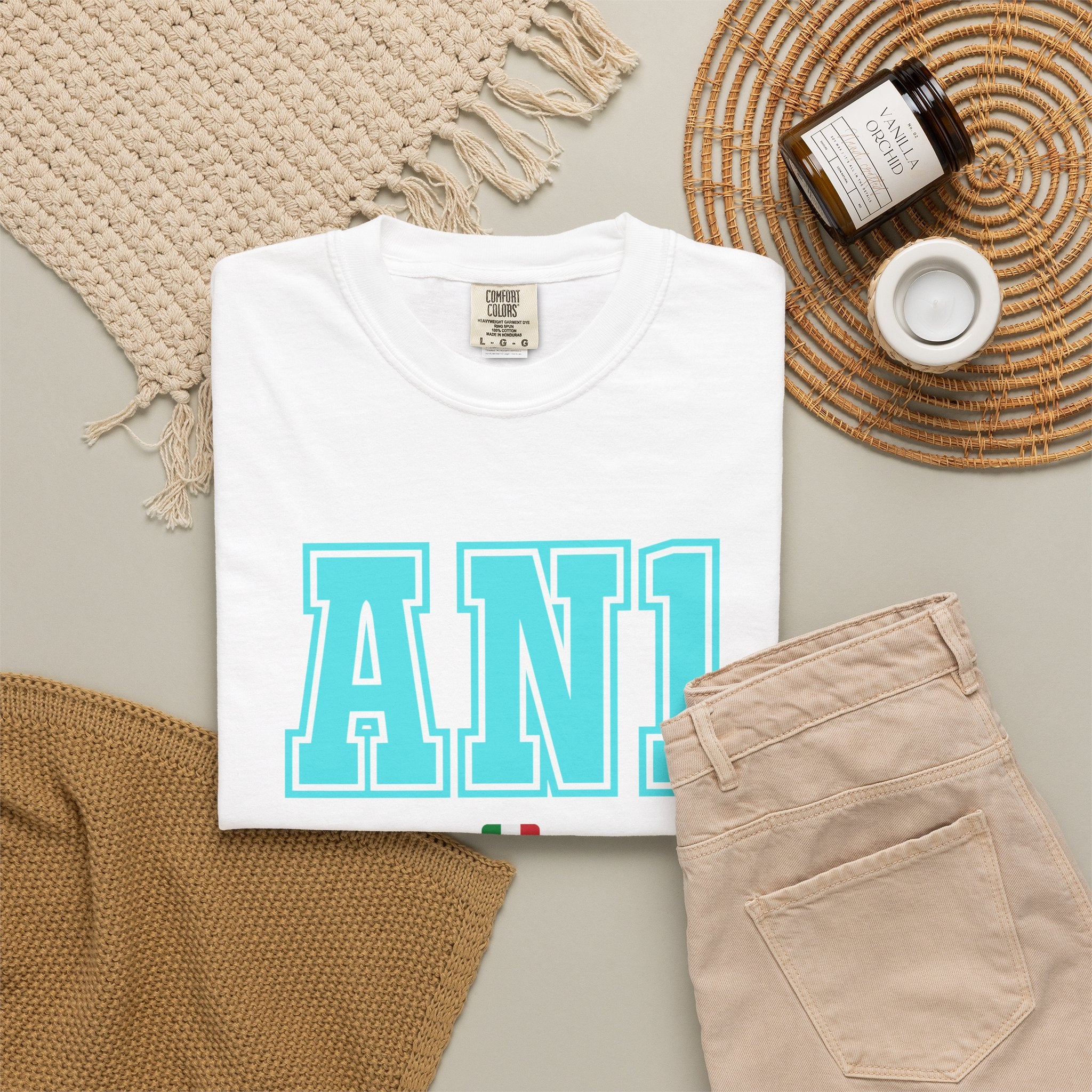 AN1 2027 Unisex Garment-Dyed T-shirt