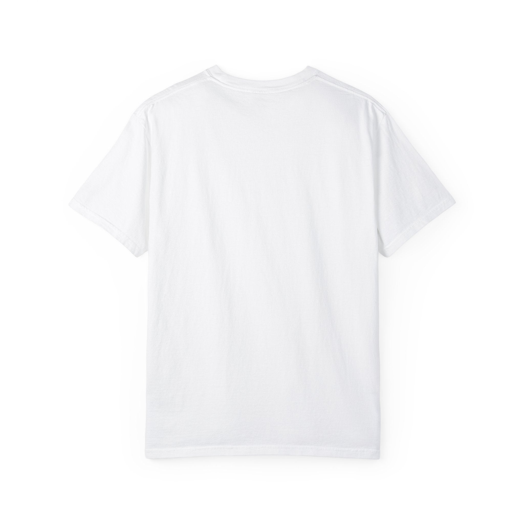 RB Unisex Garment-Dyed T-shirt CA