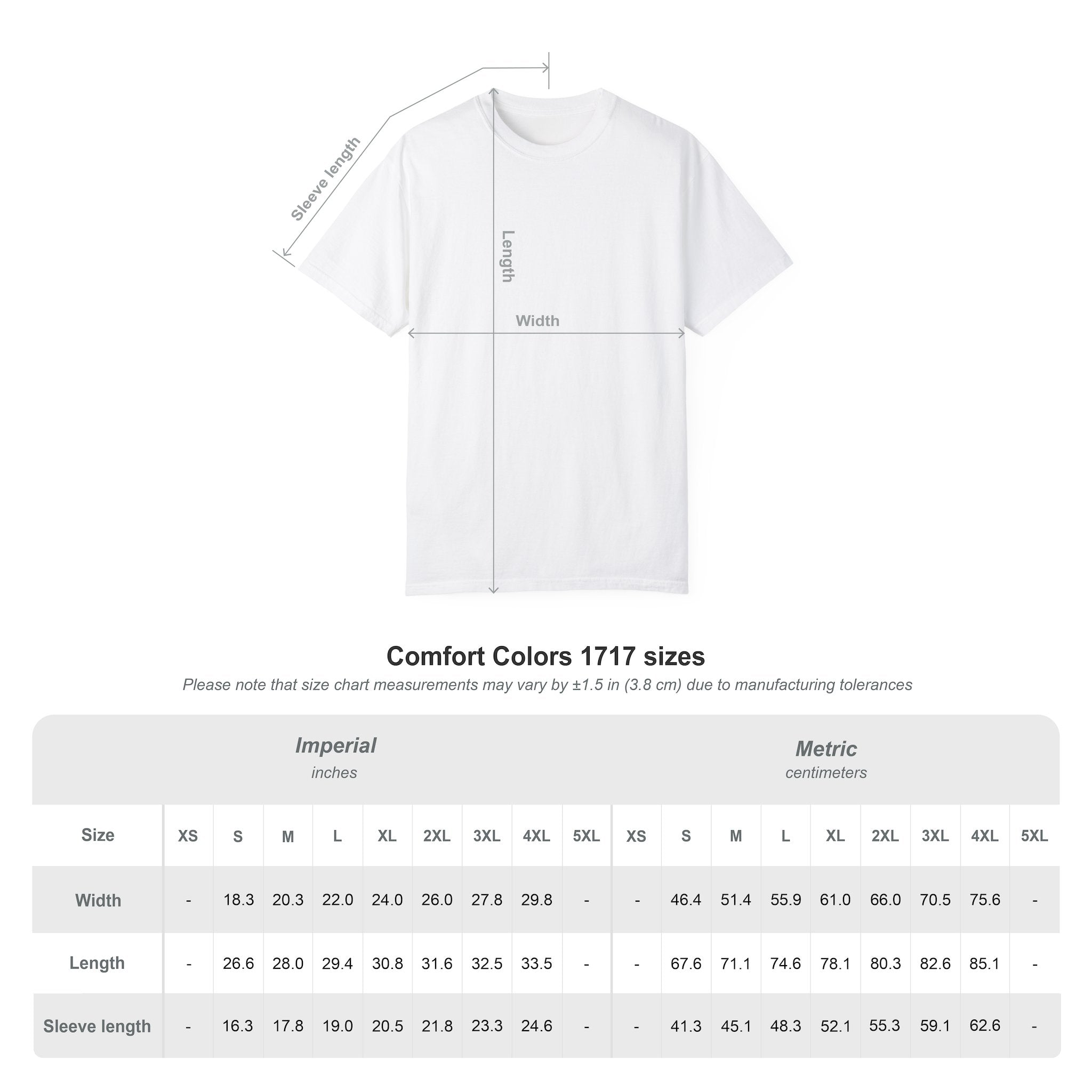 AN1 2027 Unisex Garment-Dyed T-shirt
