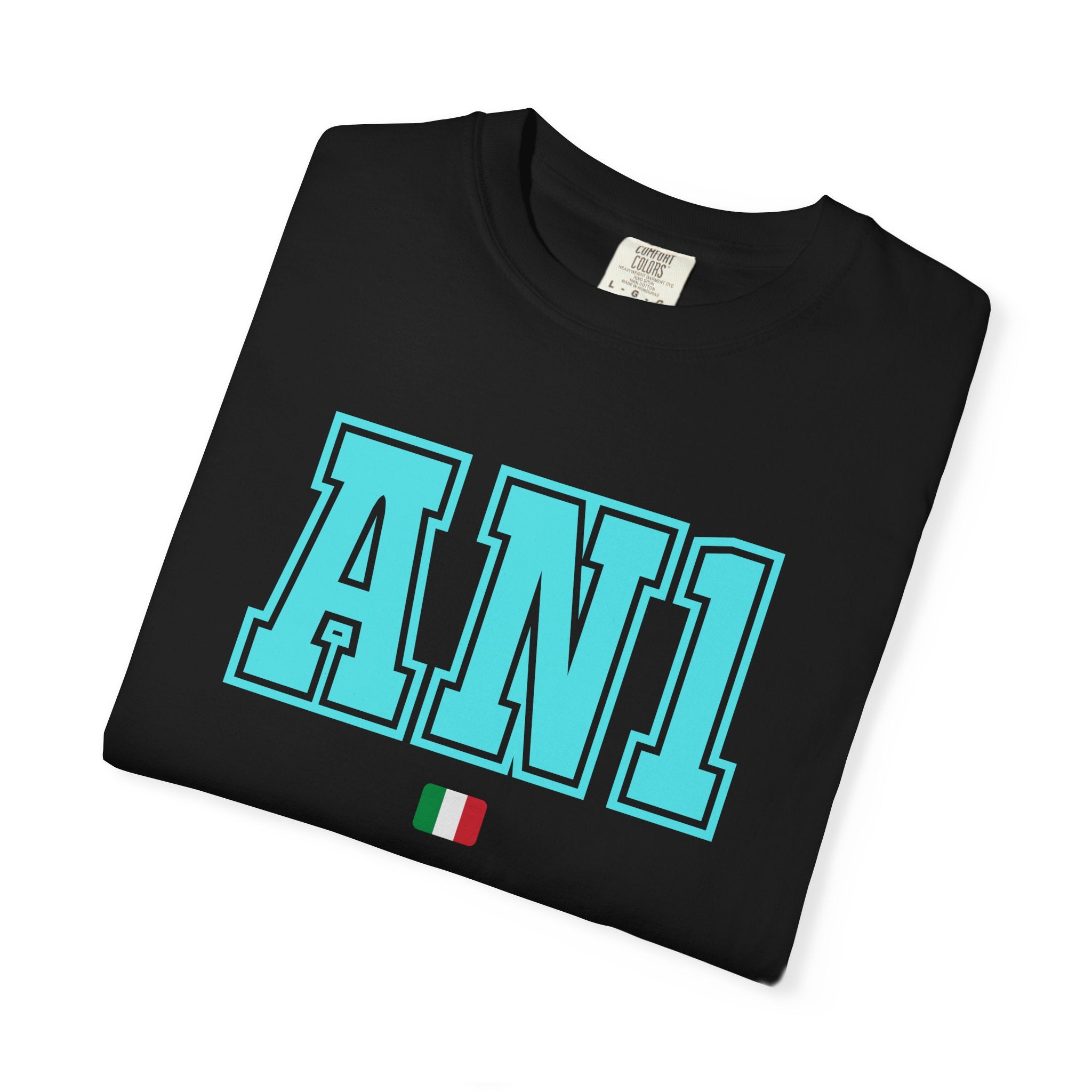 AN1 2027 Unisex Garment-Dyed T-shirt