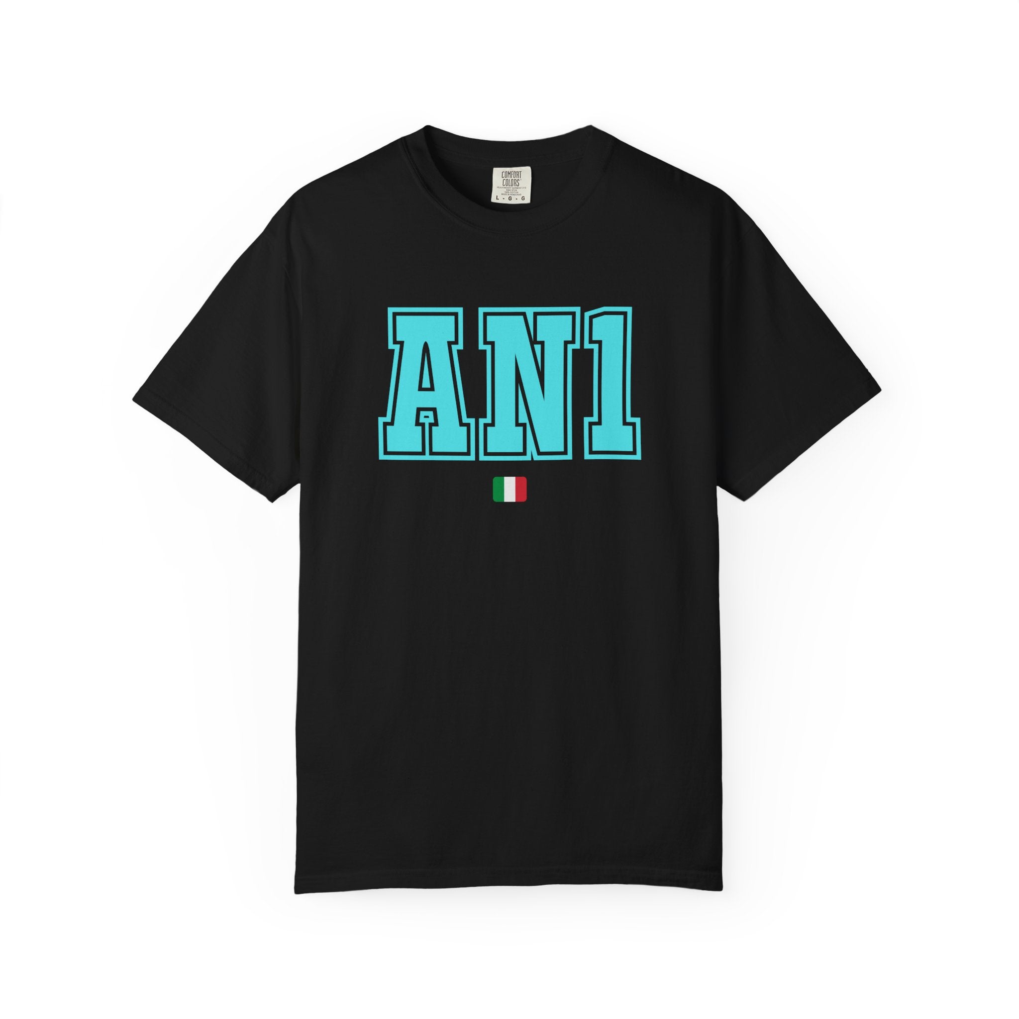 AN1 2027 Unisex Garment-Dyed T-shirt
