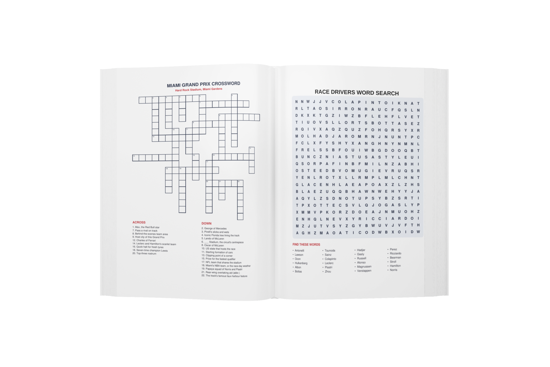 Formula Fanatics Activity Book