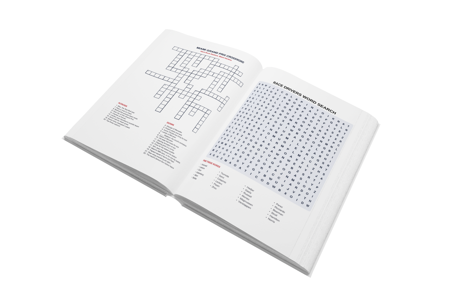 Formula Fanatics Activity Book