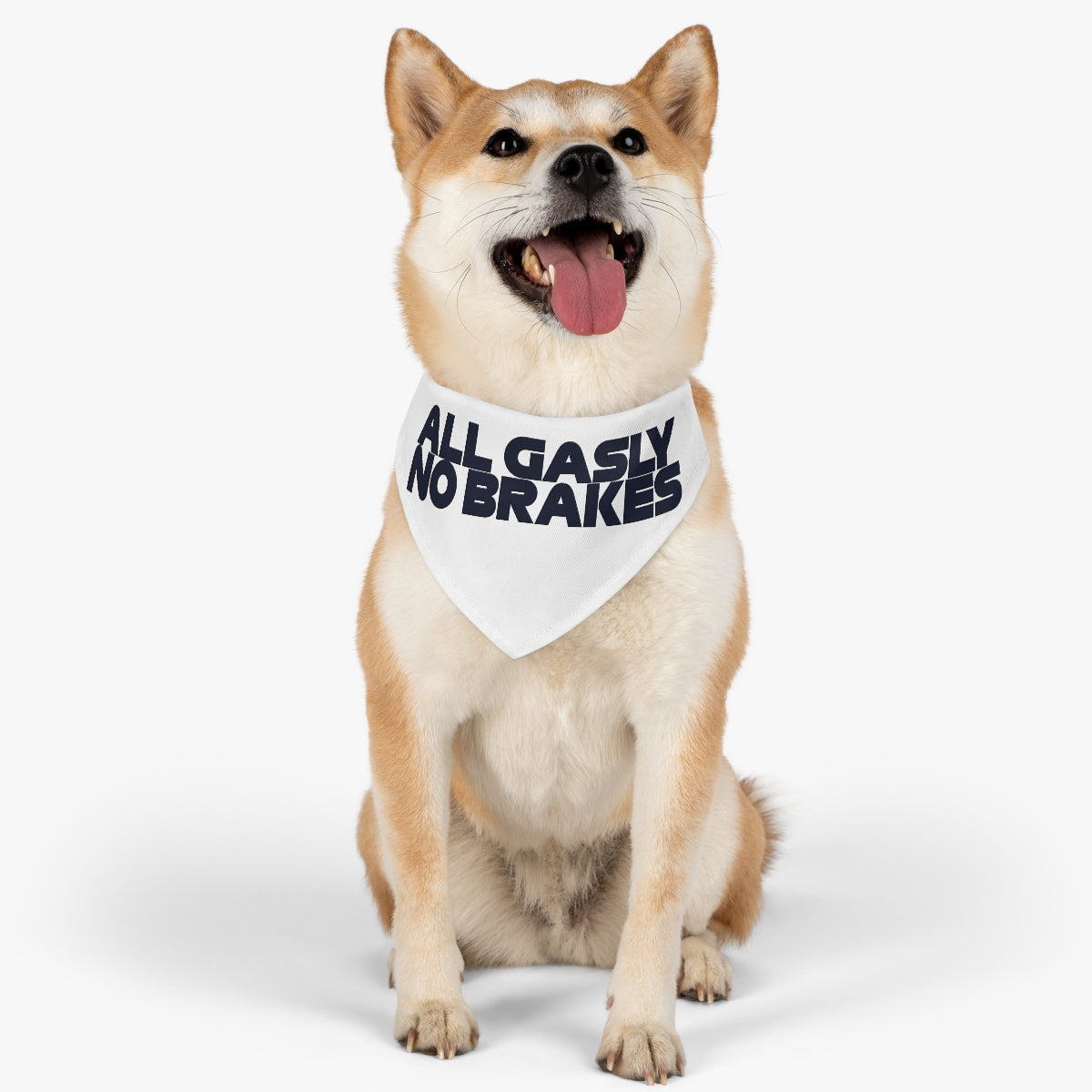 All Gasly No Breaks Pet Bandana Collar - FormulaFanatics